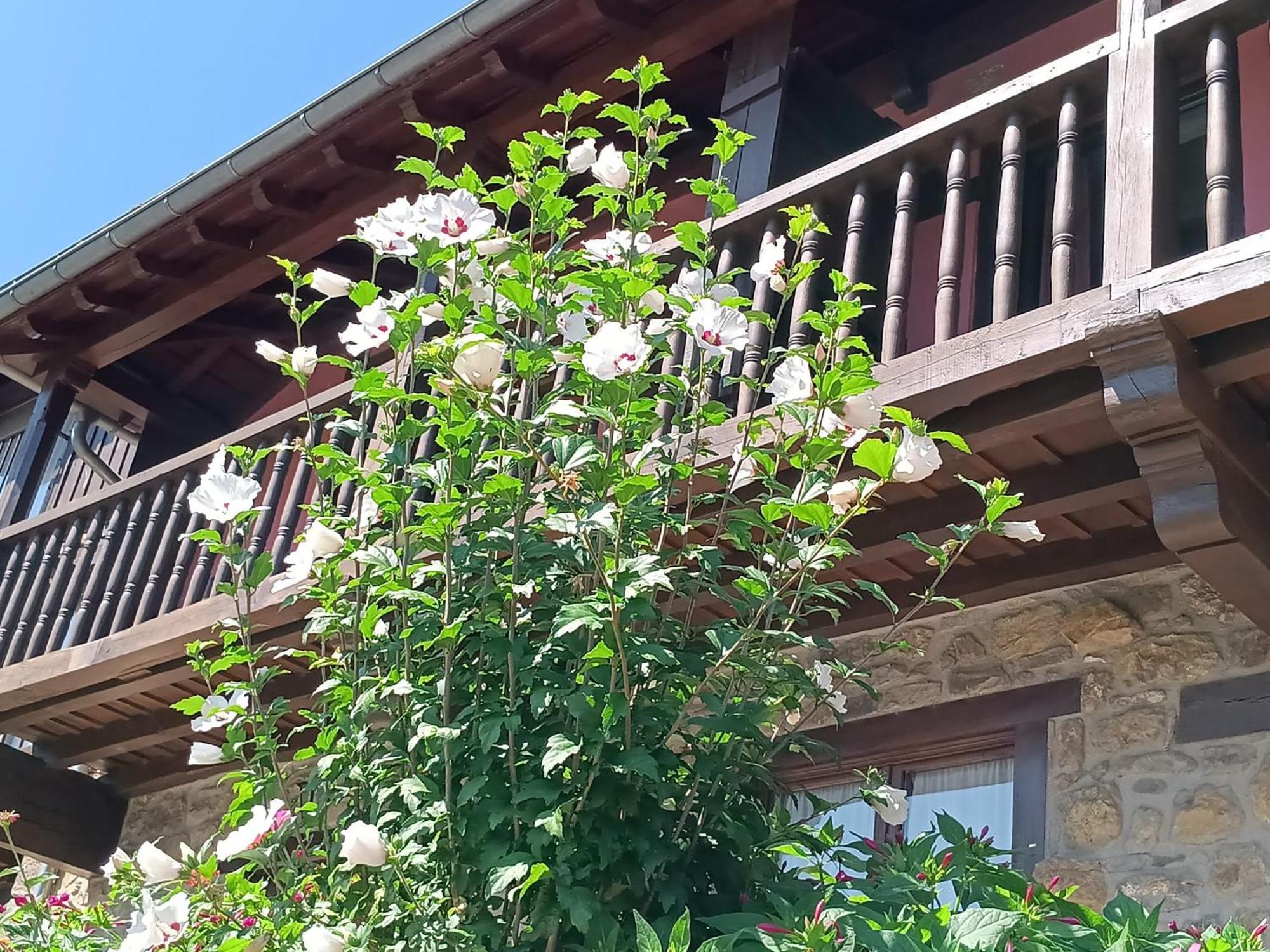 Apartamentos Calm & Nature - Adults Only Cabezón de Liébana Eksteriør bilde